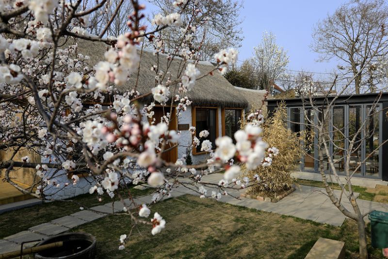 三百人家皆花匠威海这个美丽乡村究竟什么神仙颜值