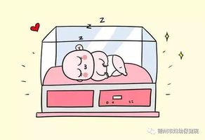 德州市妇幼保健院儿科顺利完成首例早产儿电子支气管镜检查