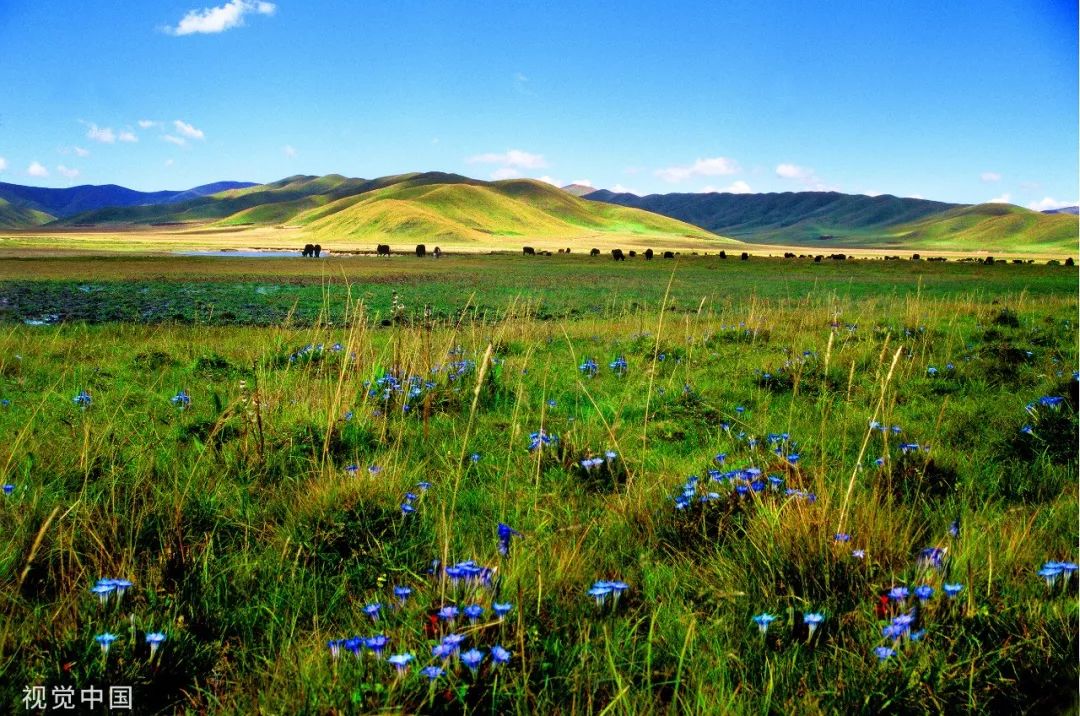 线路一:雪山草地,长征丰碑