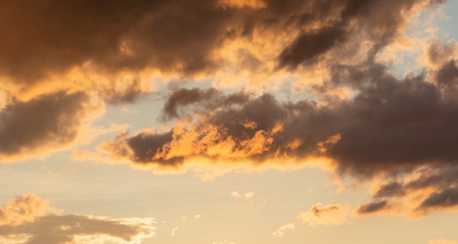 靠海外代工和低价救不了彩电业:海信创维TCL长虹们找新路子-家电圈官网