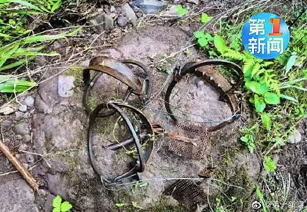 汉中村民非法放置捕猎夹被查处