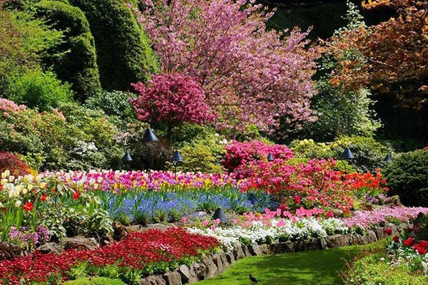 加拿大最美私家花园不想看看吗
