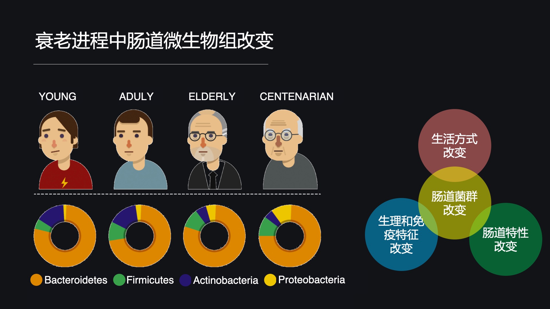 腸道張晨虹七分飽高纖維或改善菌群並延年益壽