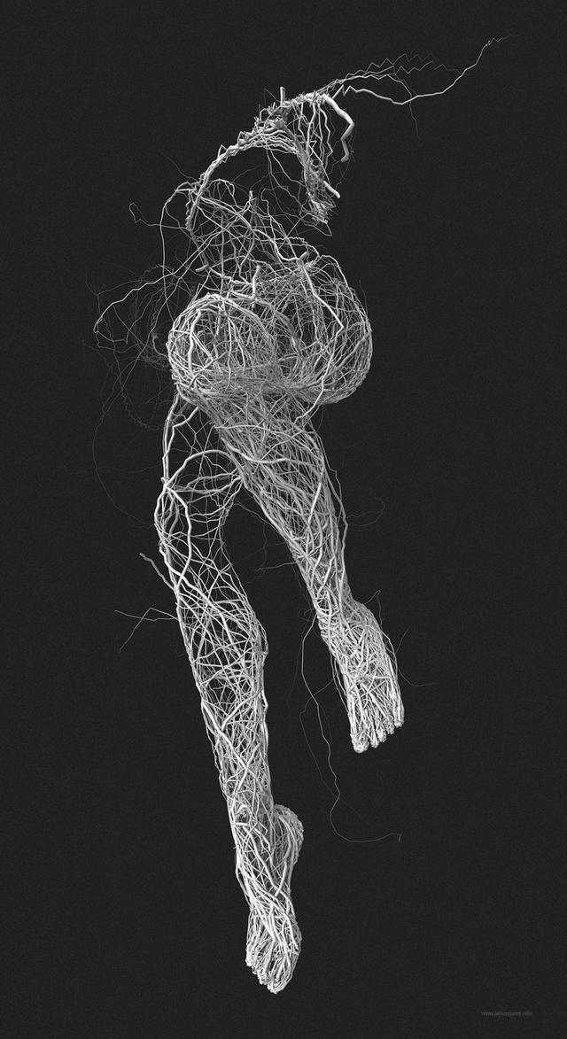 抽丝剥茧的人体