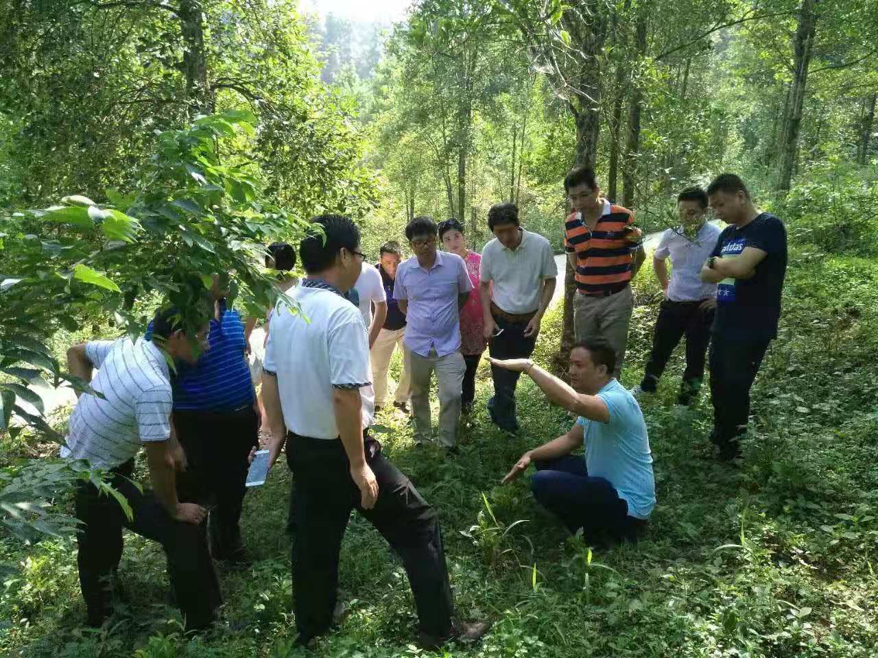 周厚霖先生亲自上阵演讲在第七届全国品牌故事大赛梧州赛区获奖