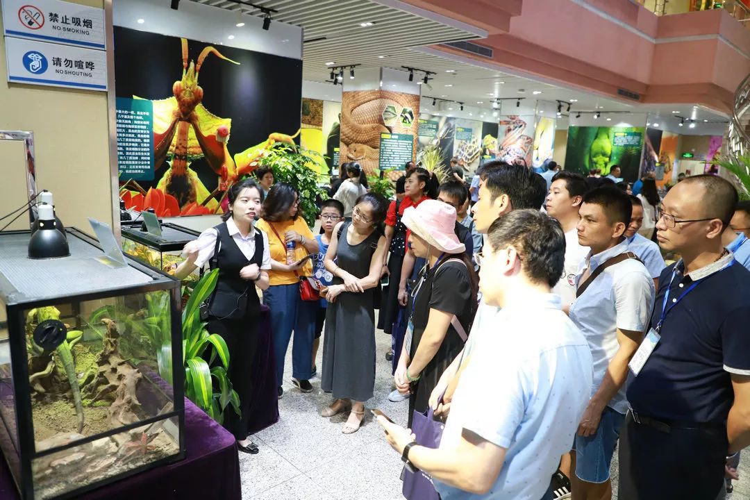 【城市爬宠科普展回顾】遇见神奇动物,爬宠那些事儿!_高冠
