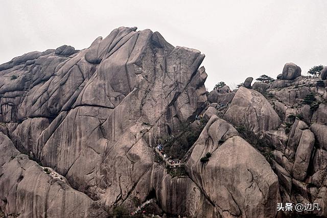 黄山奇石龟鱼对望图片