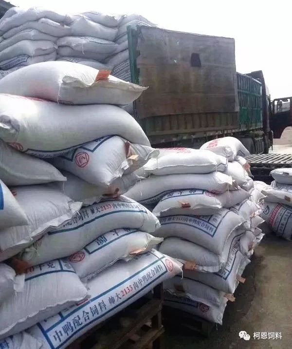 柯恩市场风采翁源三个老剑客的传奇故事