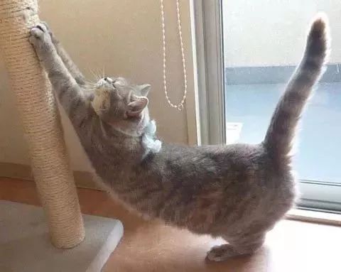 伸懒腰是因为你懒吗原来伸懒腰有这么多好处