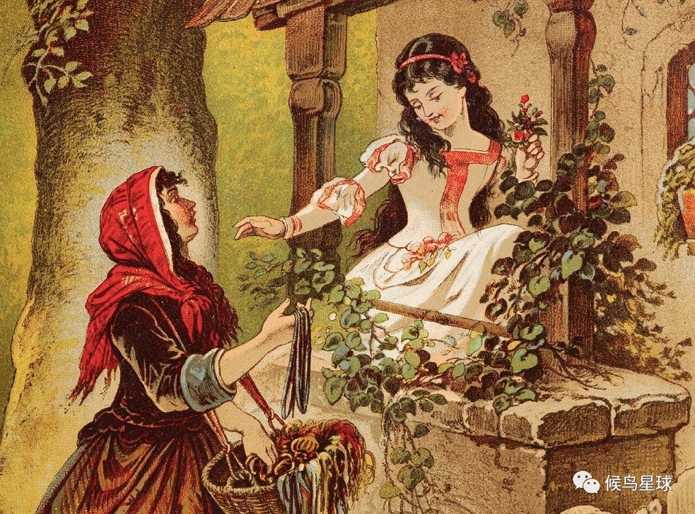 白雪公主真有其人,德国博物馆展出墓碑