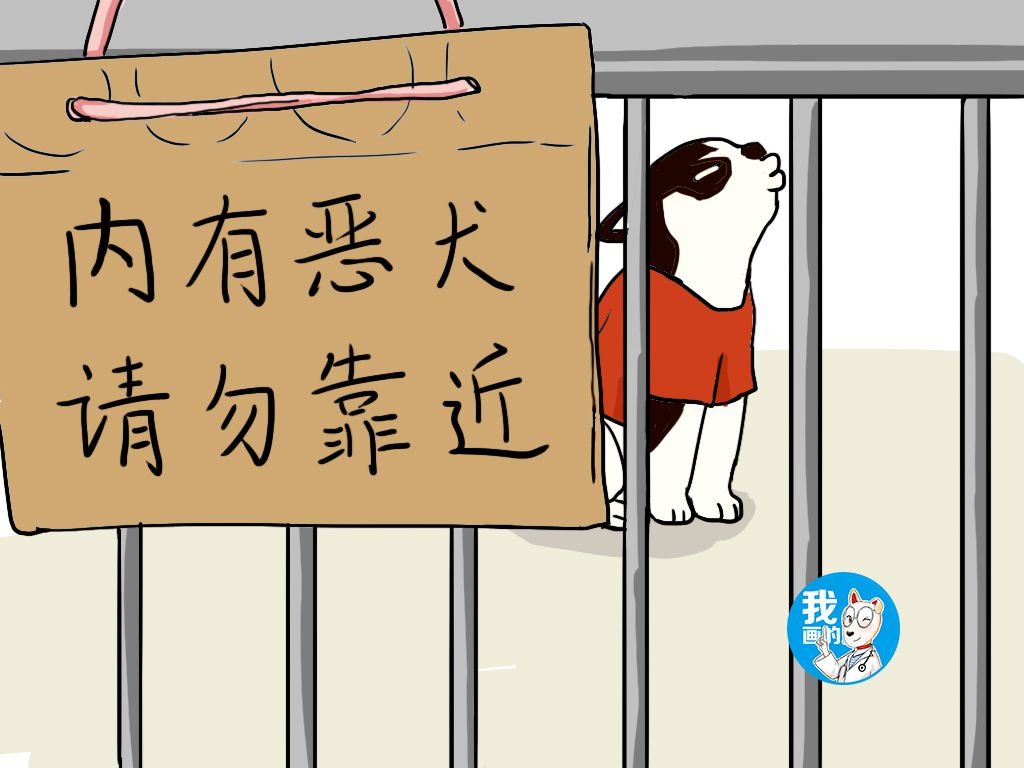 路过一院门口挂牌内有恶犬,感到一丝不安,瞟了一眼直撇嘴