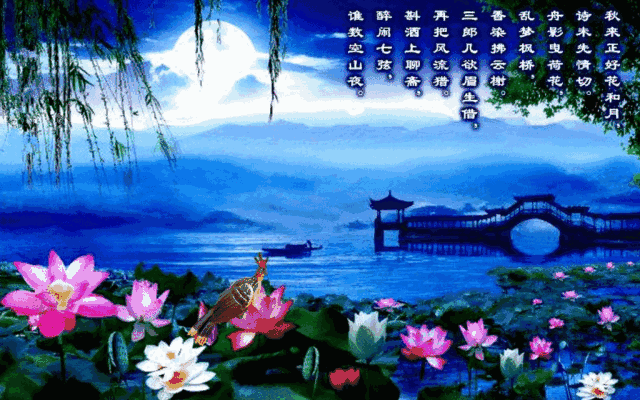 640_400gif 动态图 动图