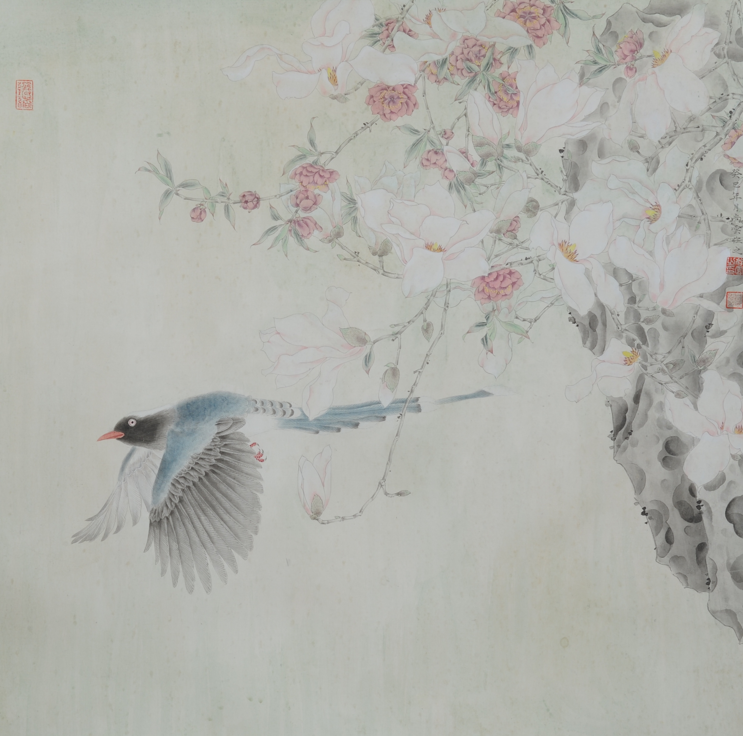 中国画欣赏——尚云工笔花鸟系列作品