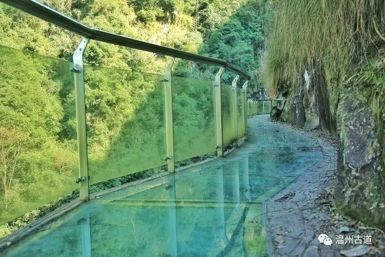 浙江百大避暑清凉地泰顺南浦溪风光旖旎避暑胜地