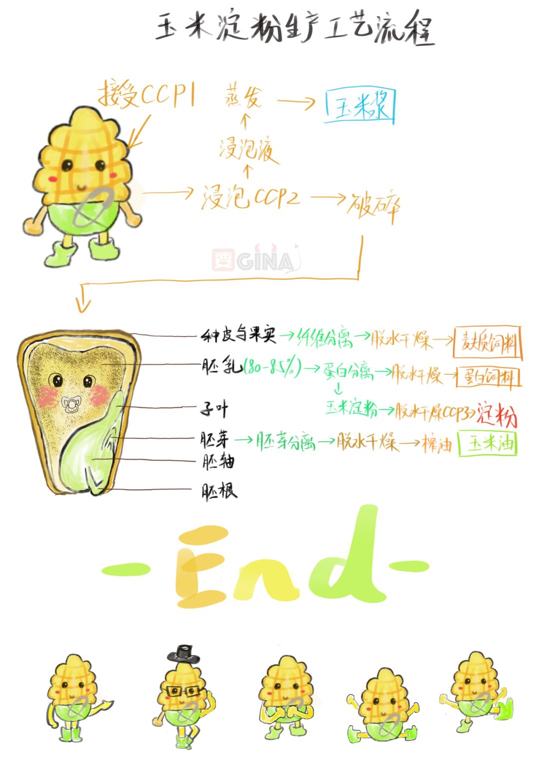 轻松读漫画农产品基础知识系列之玉米的一生