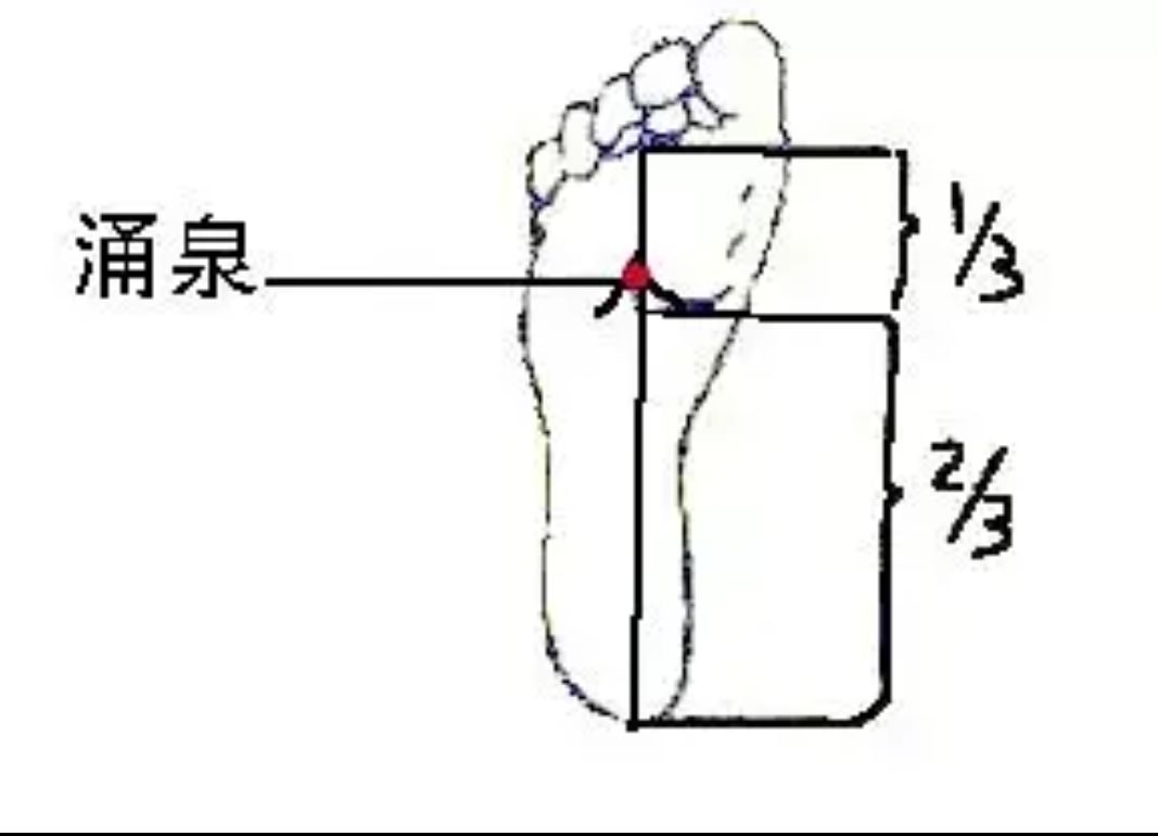 涌泉穴:位于足前部凹陷处第2,3趾趾缝纹头端与足跟连线的前三分之一处