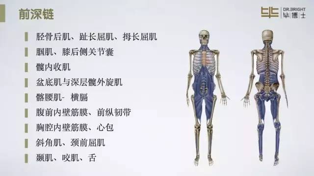 嘉定新城健身房通过正确的评估分析针对性67筋膜放松肌肉拉伸肌肉