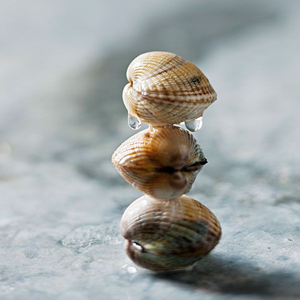 花甲吐沙有这3种方法就够了