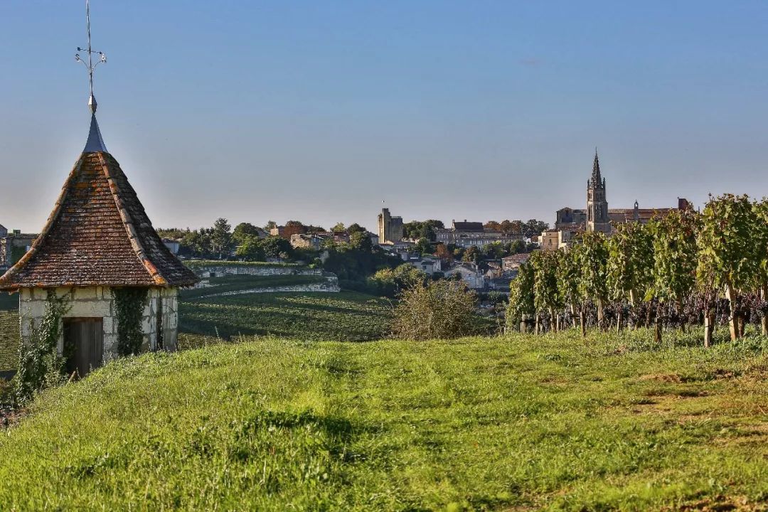 圣埃美隆一级a等金钟 柏菲,2013年份套装上线_酒庄