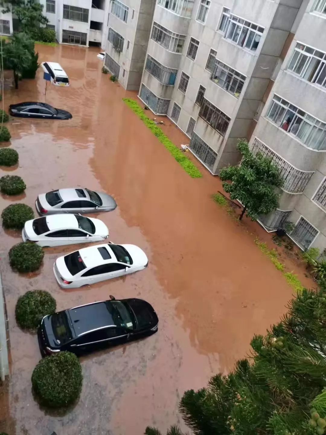 大理突降暴雨小区被淹 积水最深处已达1.4米(视频)_下关