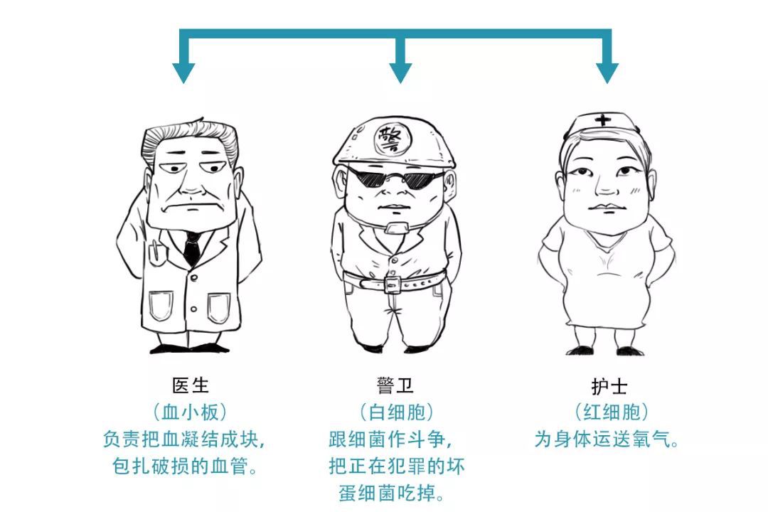 装修会得白血病来今天给你个解释