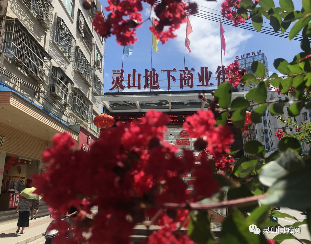 重磅灵山36米街将在月底通车