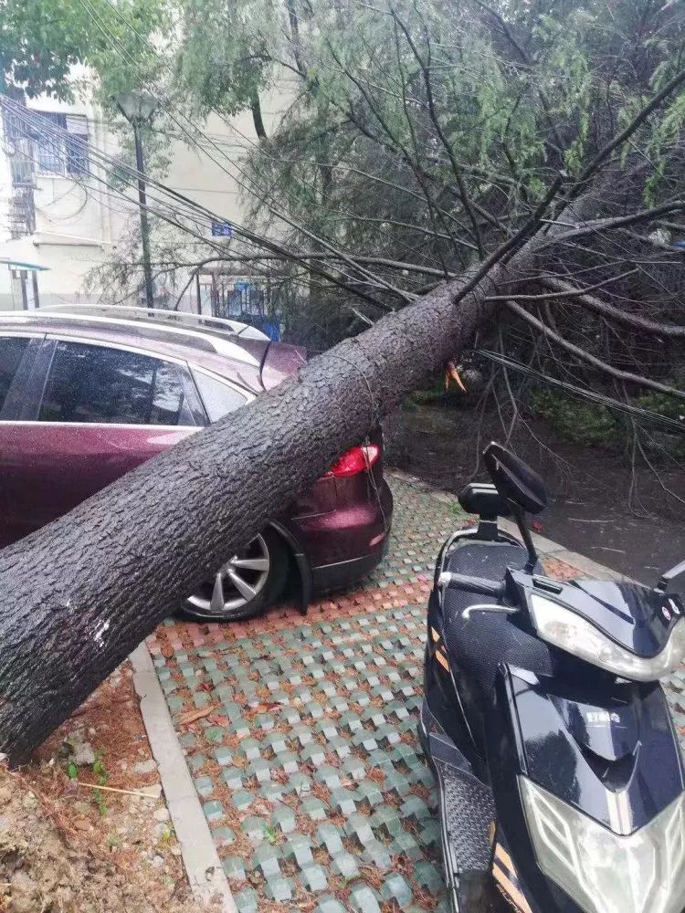 最强台风今夜到无锡,然而考验才刚开始