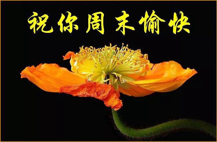 102019年8月星 期 六農曆七月初十快樂週末一來到,祝福紛紛來報到