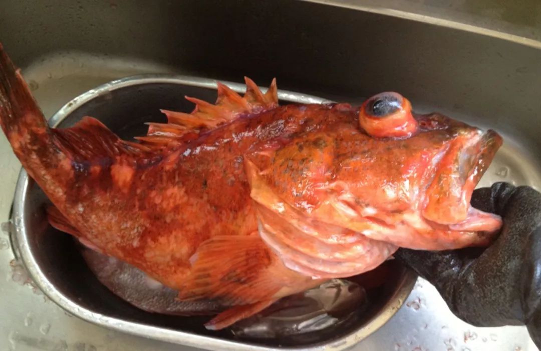 三文鱼三文鱼是部分鲑科鱼类的俗称,原本指的是鲑属的大西洋鲑鱼