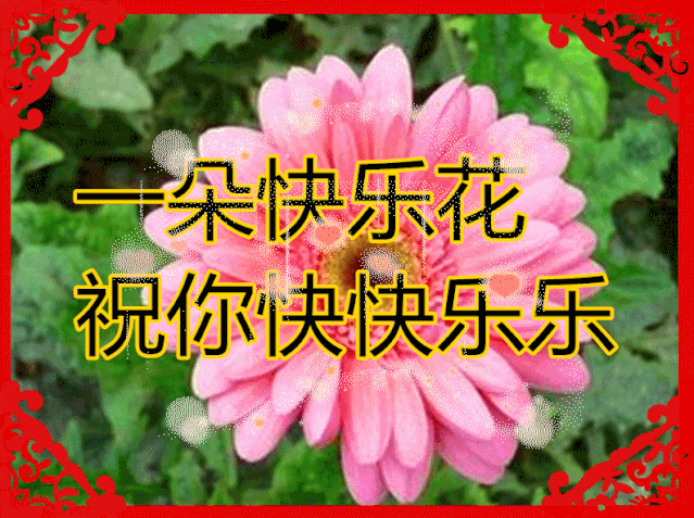 最美的祝福送给你 来自搜狐网
