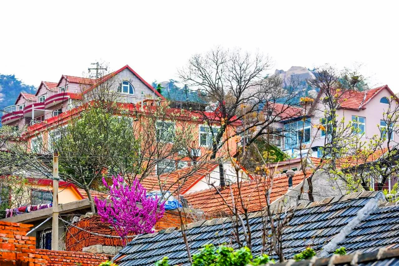 这农村是国之骄傲最富的村庄被外媒称为小新加坡