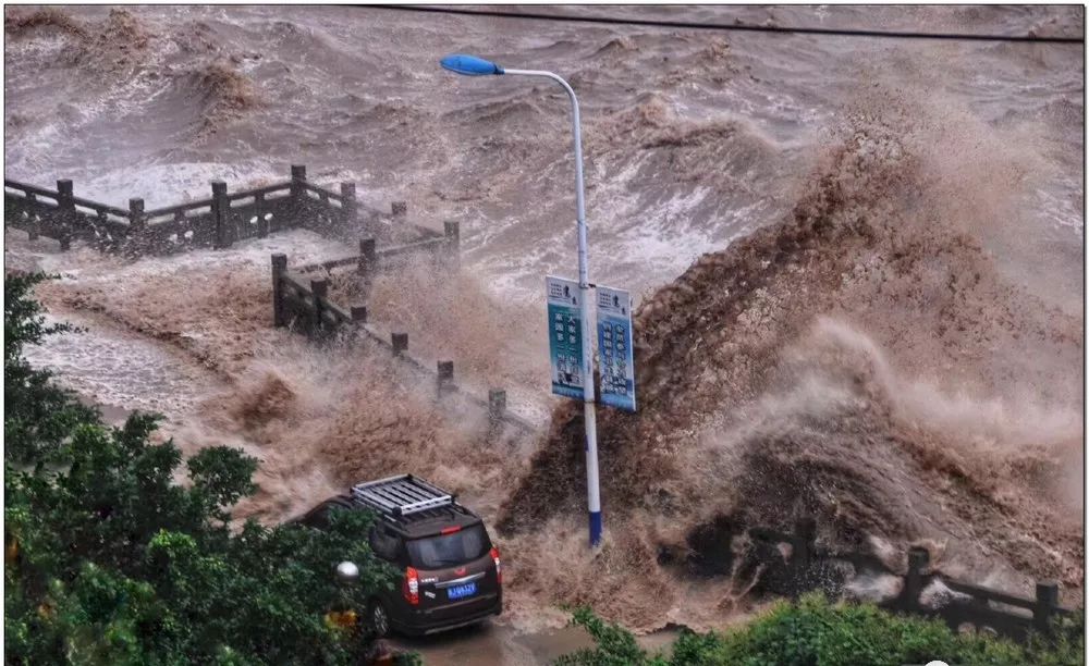 风魔利奇马有多疯?60年老树连根拔,连毒贩头子都给你刮出来……_台风