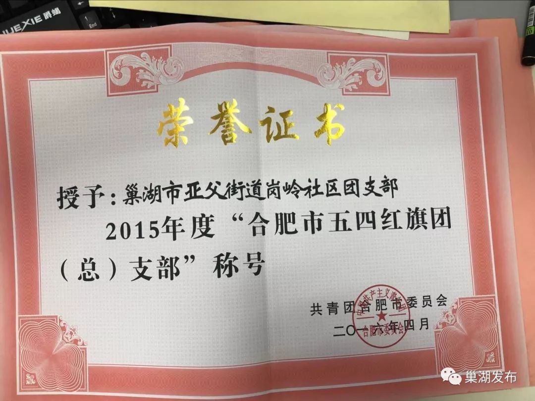 巢湖一社区团支部获全国五四红旗团支部,这个团队不简单!