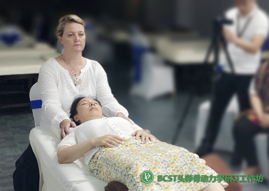 bcst生物动力学颅骶疗法培训介绍_身体