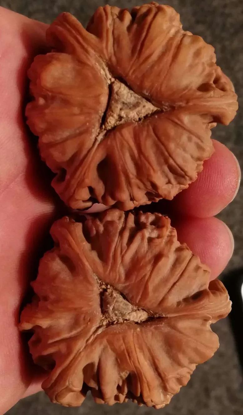 他花160张,买了一对三棱核桃.