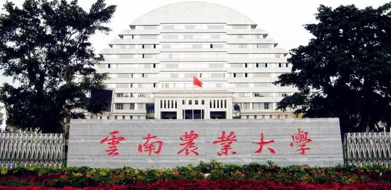 云南农业大学教务处有员工19人,正高职3人,副高职5人,具有硕士,博士