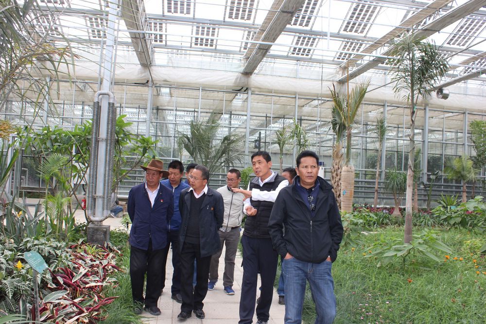 【视察】王泽敏同志赴白朗县视察产业助推乡村振兴战略发展工作