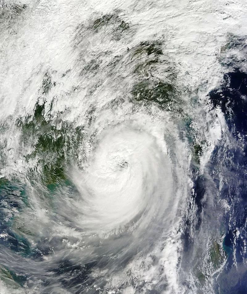 中国提出的正在使用的10个台风名为:海葵,玉兔,风神,杜鹃,木兰,悟空