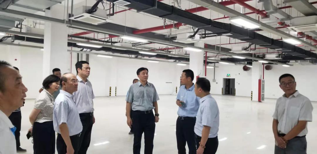 南京市副市长胡万进一行莅临南京青奥体育公园室内 田径馆,游泳馆项目