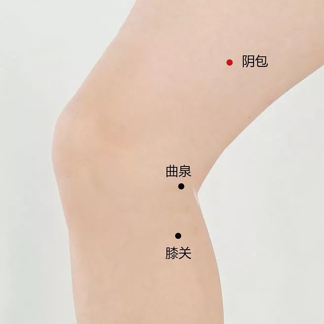 阴包穴 来自搜狐网
