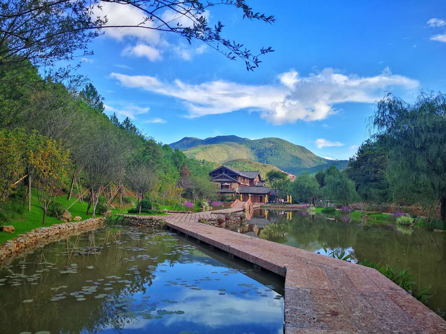 国内外的森林康养