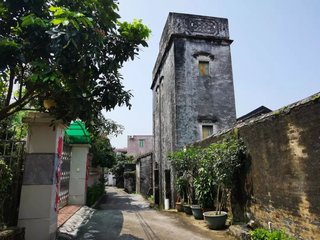 中山这个村怀有蝉噪林愈静鸟鸣山更幽的独特意境