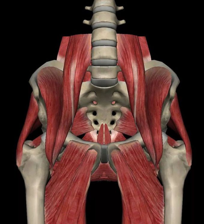 尿频漏尿盆底肌修复可不只是产后话题