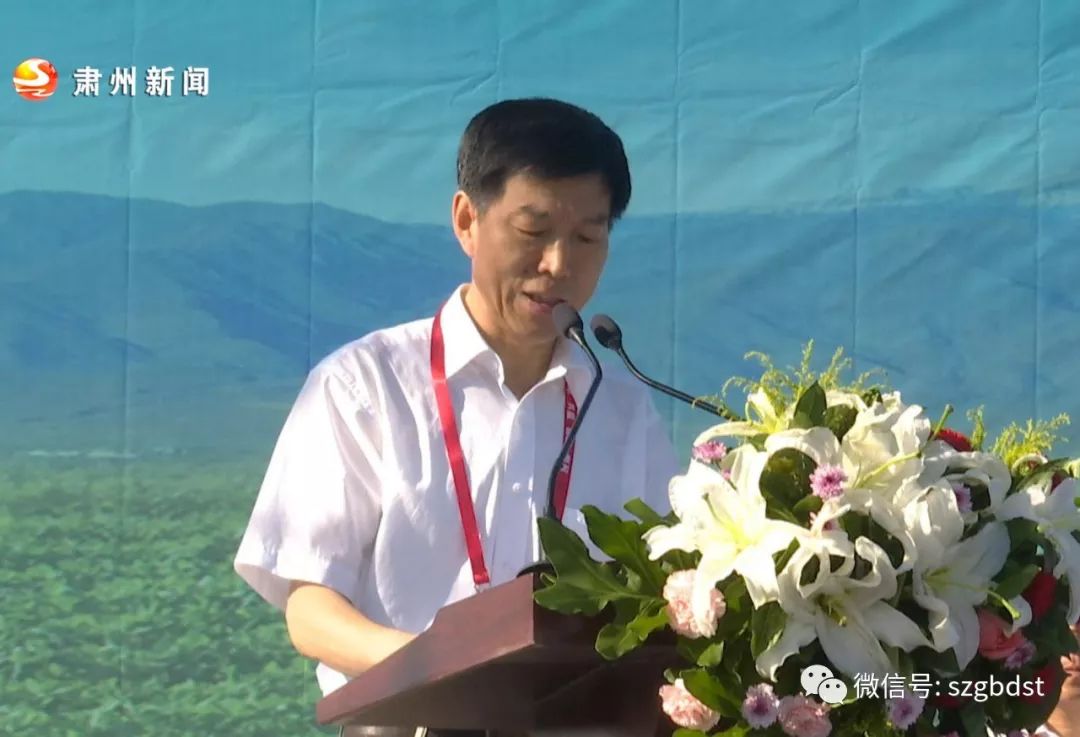 聚焦种博会全国蔬菜登记品种西北区展示评价现场观摩暨