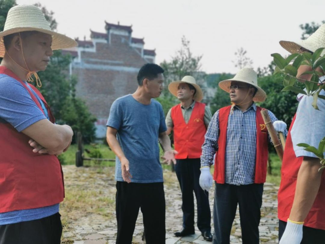 区委书记何慕良一行深入我镇白沙村开展大扫除活动