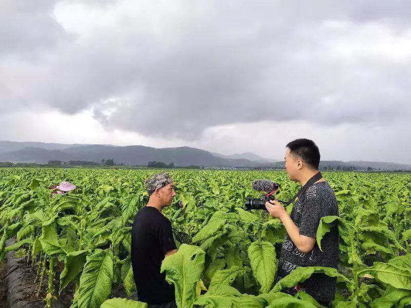 云天化种植牛人华东种烟五件宝土好烟好效益好