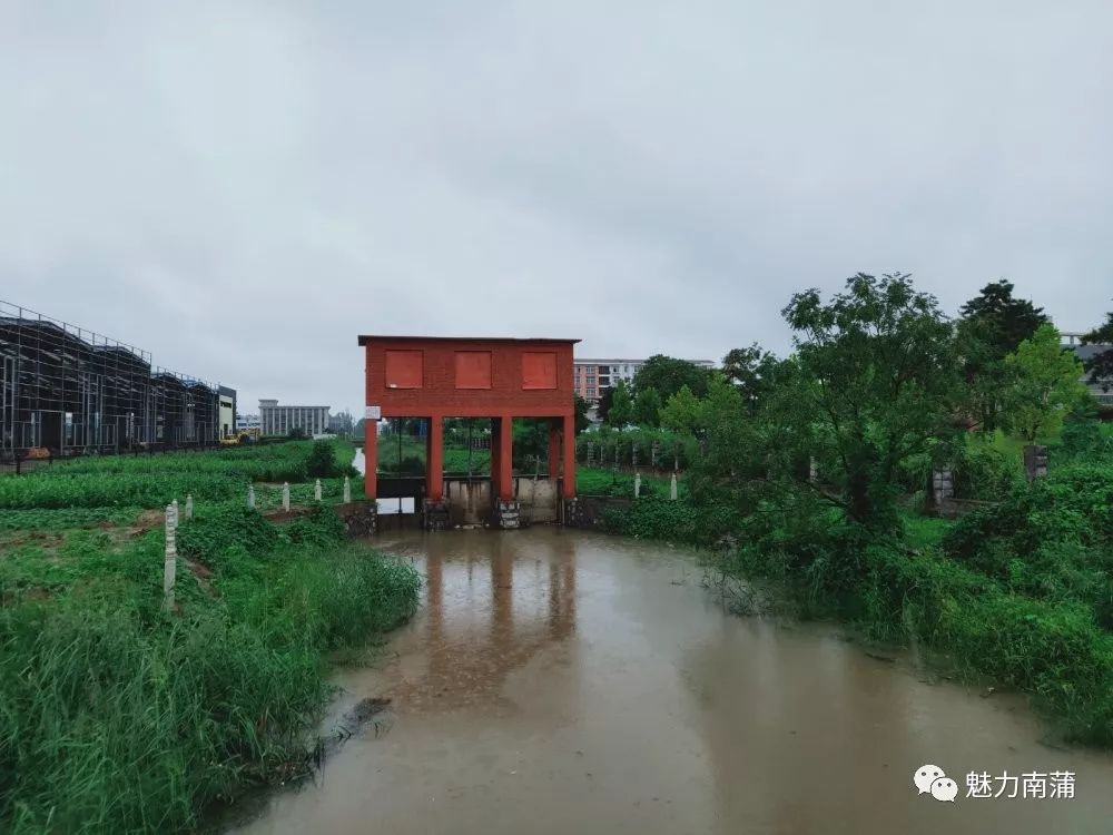 南蒲街道迅速响应全力以赴保障汛期安全