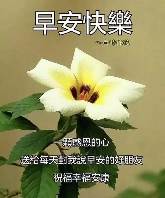 二0二0祝福图图片