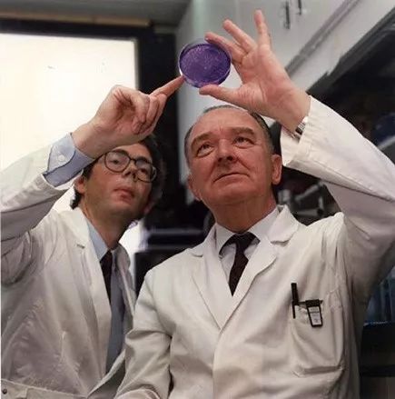 西安杨森向你发送了一份"简历",请查收!_保罗