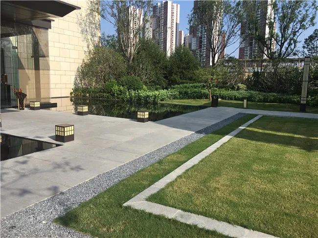 【热盘速递】经开二期再迎白桦林溪!是否黑马la出来溜溜